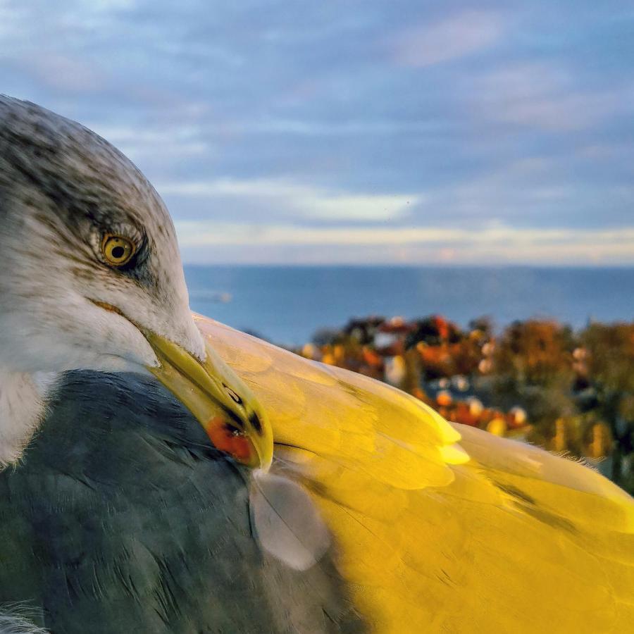 Pokoje przy plaży z widokiem na morze Sopot Zewnętrze zdjęcie