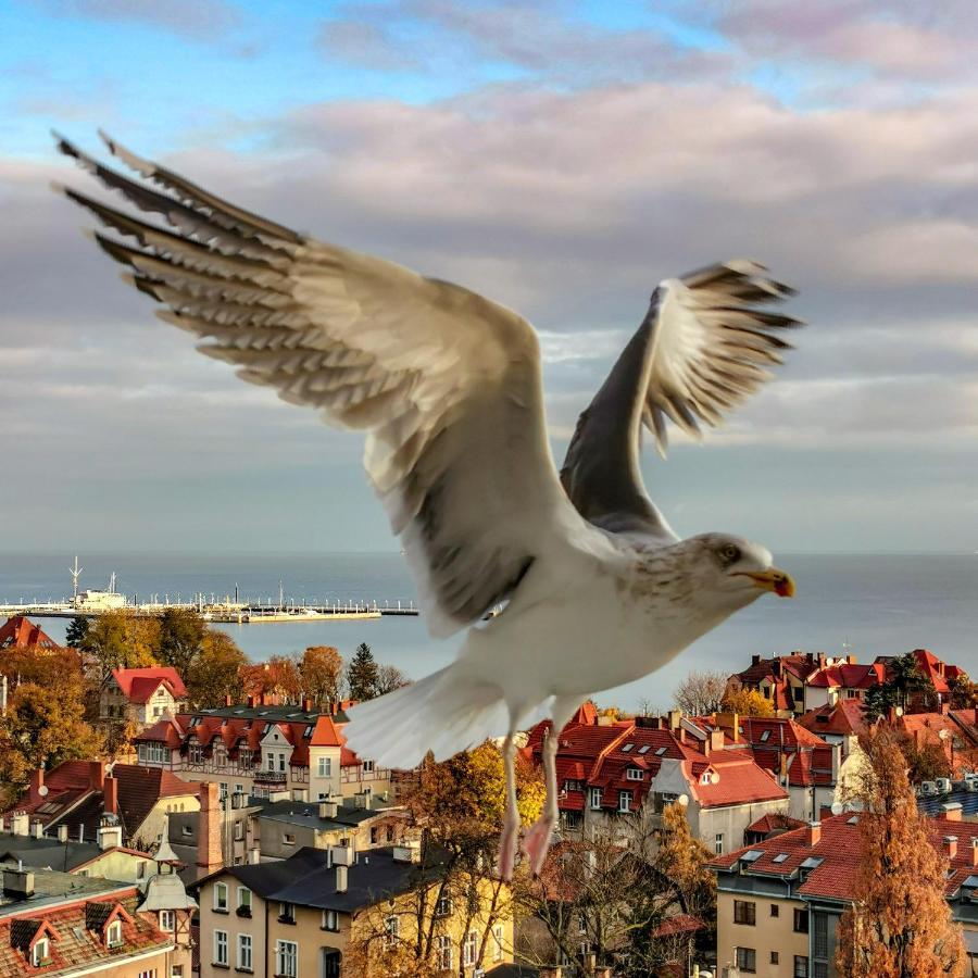 Pokoje przy plaży z widokiem na morze Sopot Zewnętrze zdjęcie