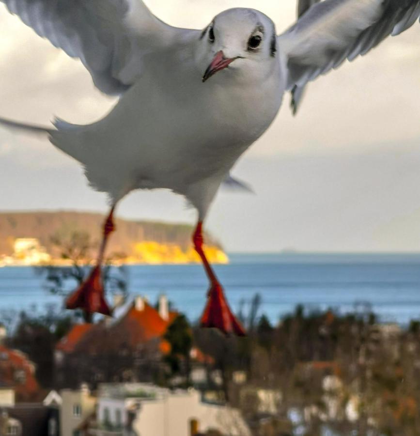 Pokoje przy plaży z widokiem na morze Sopot Zewnętrze zdjęcie