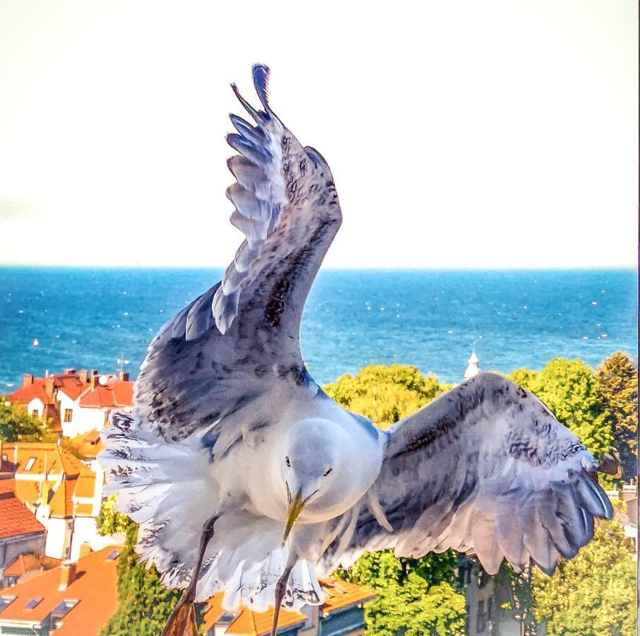 Pokoje przy plaży z widokiem na morze Sopot Zewnętrze zdjęcie
