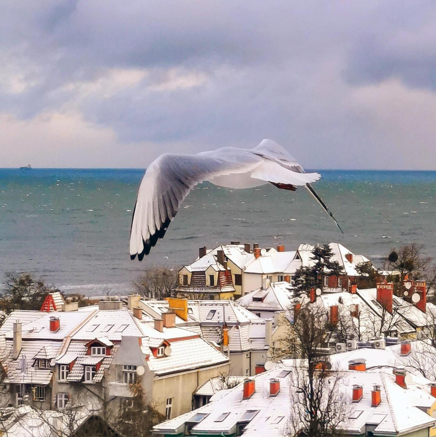 Pokoje przy plaży z widokiem na morze Sopot Zewnętrze zdjęcie