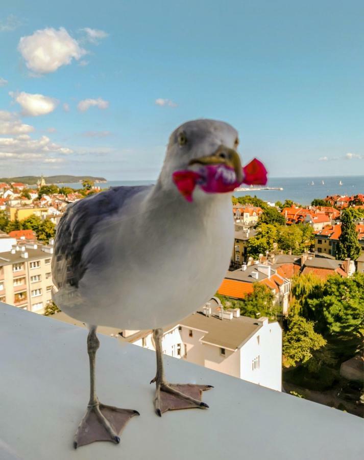 Pokoje przy plaży z widokiem na morze Sopot Zewnętrze zdjęcie